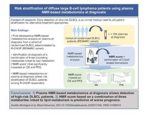 Graphical abstract